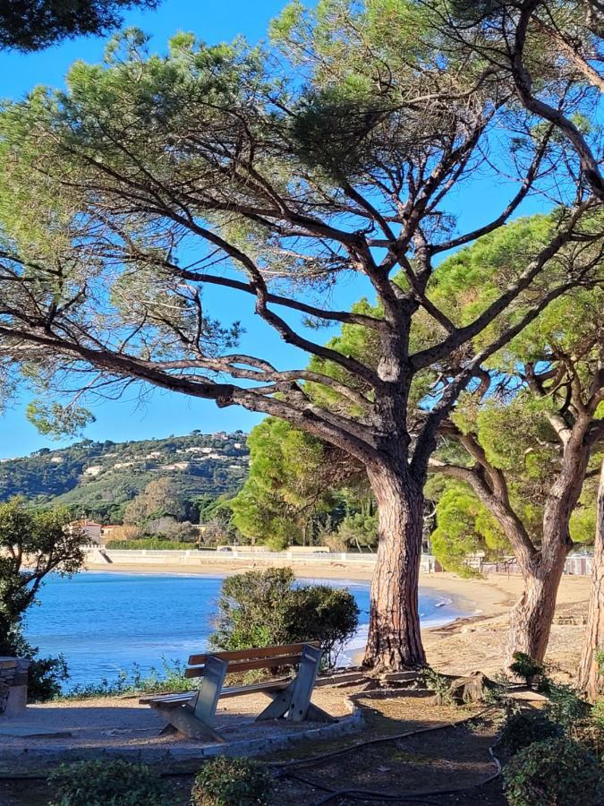 Villa Palm' Issambres 6-7 Personnes, Clim, Avec Piscine, Jardin Et Parking Prives La Garonnette-Plage Экстерьер фото