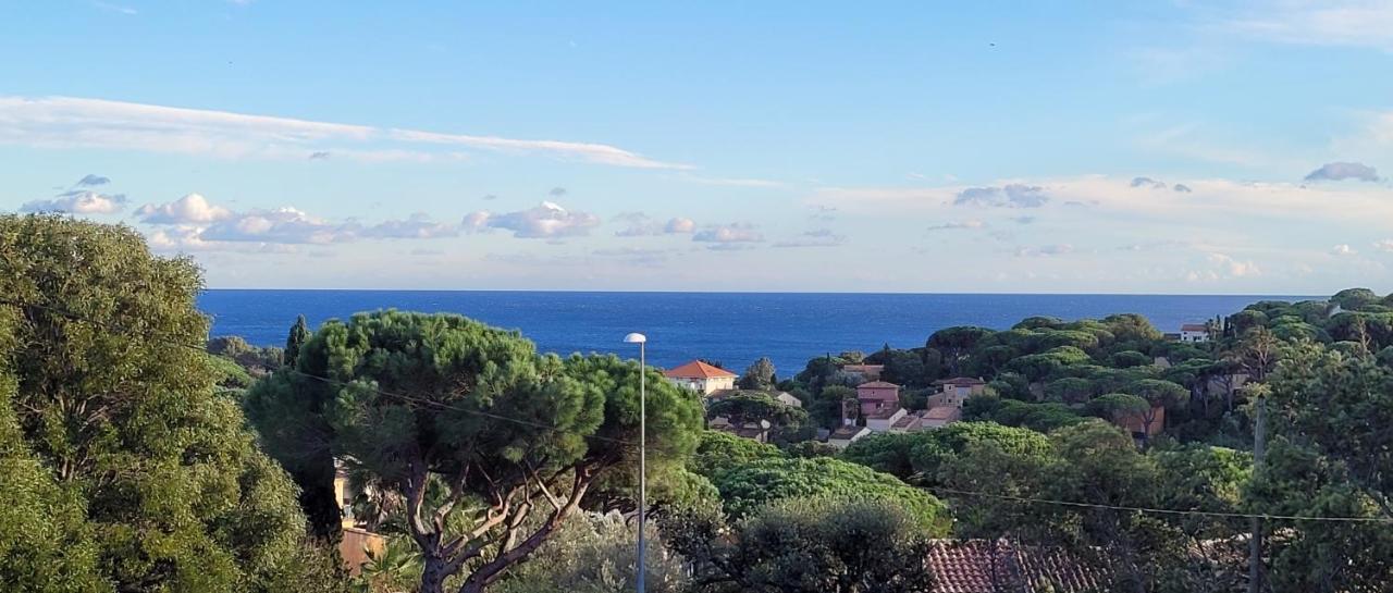 Villa Palm' Issambres 6-7 Personnes, Clim, Avec Piscine, Jardin Et Parking Prives La Garonnette-Plage Экстерьер фото